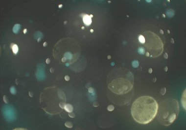 soyut bulanık bokeh arka plan, kopyalama alanı  