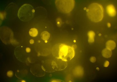 Bokeh ile soyut arkaplan