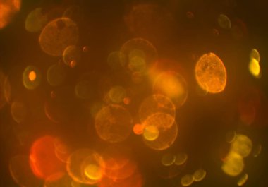 kopya alanı ile bokeh ışıkları dijital arka plan