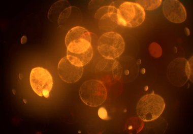 Bokeh ile soyut arkaplan