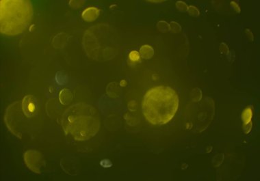 bokeh abstact arka plan ile galaksi