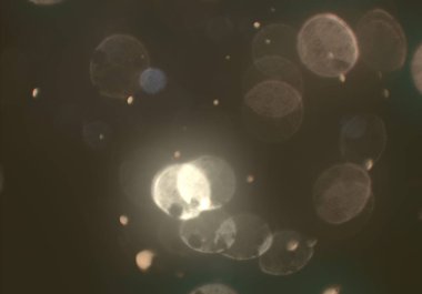 bokeh ve metin için alan ile soyut duvar kağıdı