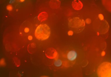 kopya alanı ile bokeh ışıkları dijital arka plan