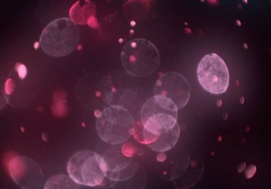 kopya alanı ile bokeh ışıkları dijital arka plan