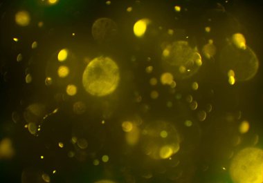 parlak bokeh ışıkları ile dijital duvar kağıdı 