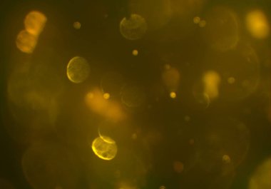 parlak bokeh ışıkları ile dijital duvar kağıdı 