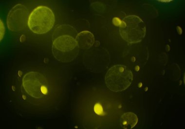 soyut arkaplan, kopyalama alanı