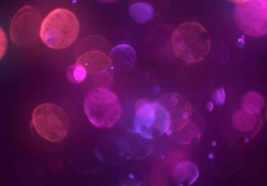 metin veya görüntü için alan ile bokeh arka plan