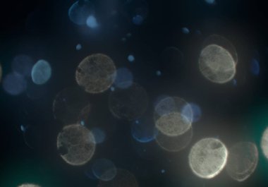 Tasarımınız için parlak bokeh arka plan