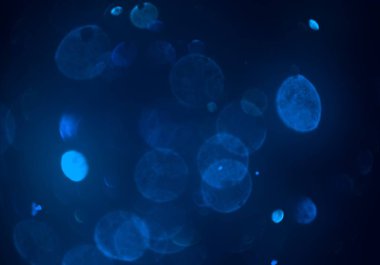 mavi ve beyaz arkaplan