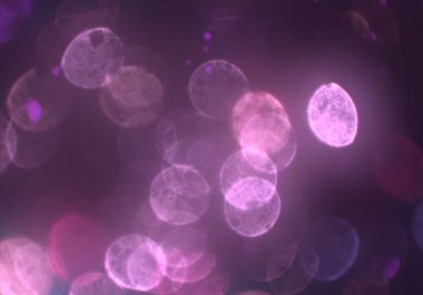 bokeh ile sanat soyut arka plan 