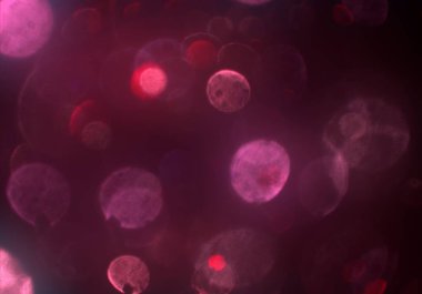 Bokeh ile soyut arkaplan