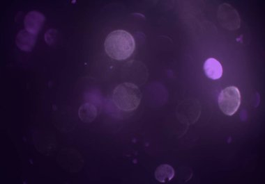 metin veya görüntü için alan ile bokeh arka plan