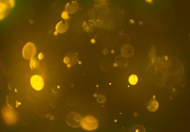 bokeh ile sanat soyut arka plan 