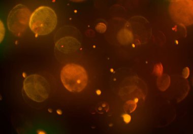 metin veya görüntü için alan ile bokeh arka plan