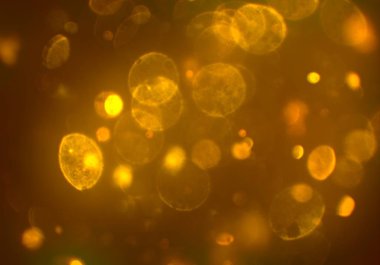 bokeh ile sanat soyut arka plan 