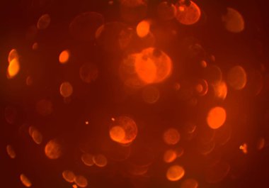 metin veya görüntü için alan ile bokeh arka plan