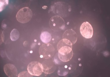 bokeh ile sanat soyut arka plan 