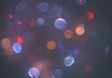 parlak bokeh ışıkları ile dijital duvar kağıdı 