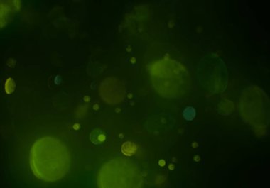 kopya alanı ile bokeh ışıkları dijital arka plan