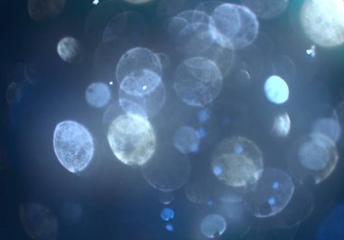 bokeh abstact arka plan ile galaksi