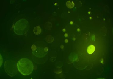 bokeh abstact arka plan ile galaksi