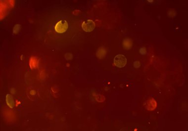 bokeh abstact arka plan ile galaksi