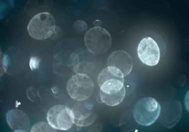 Tasarımınız için parlak bokeh arka plan