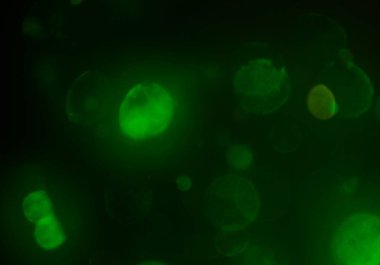 bokeh ile sanat soyut arka plan 