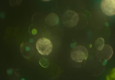 soyut bulanık bokeh arka plan, kopyalama alanı  