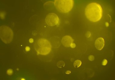 bokeh ile sanat soyut arka plan 