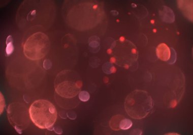 bokeh ile sanat soyut arka plan 