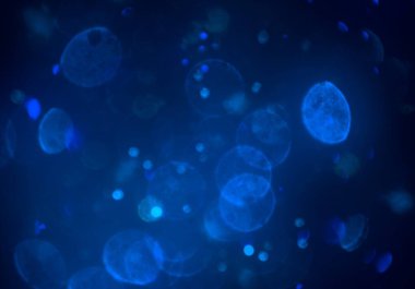 kopya alanı ile bokeh ışıkları dijital arka plan