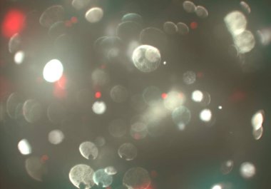 soyut arkaplan, kopyalama alanı