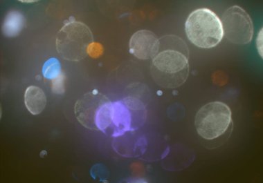 metin veya görüntü için alan ile bokeh arka plan