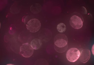 bokeh ışıkları ile soyut duvar kağıdı