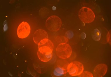 bokeh ile sanat soyut arka plan 