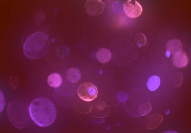 bokeh ile sanat soyut arka plan 