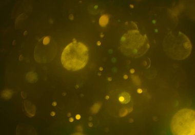 bokeh ile sanat soyut arka plan 