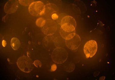 metin veya görüntü için alan ile bokeh arka plan