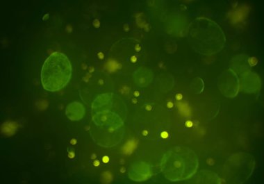 bokeh abstact arka plan ile galaksi