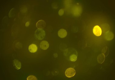 soyut arkaplan, kopyalama alanı