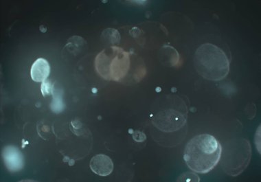 Tasarımınız için parlak bokeh arka plan