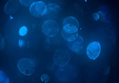 bokeh abstact arka plan ile galaksi