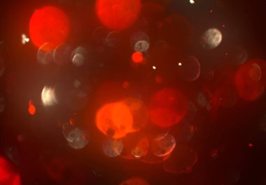 soyut arkaplan, kopyalama alanı 