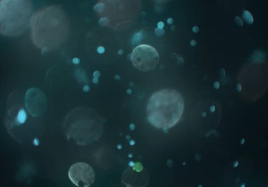 mavi ve beyaz arkaplan