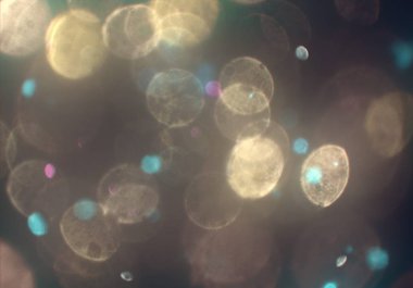 metin veya görüntü için alan ile bokeh arka plan