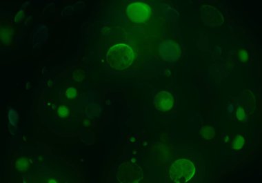 bokeh ve metin için alan ile soyut duvar kağıdı