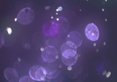 Bokeh ile soyut arkaplan