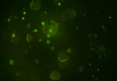 soyut arkaplan, kopyalama alanı